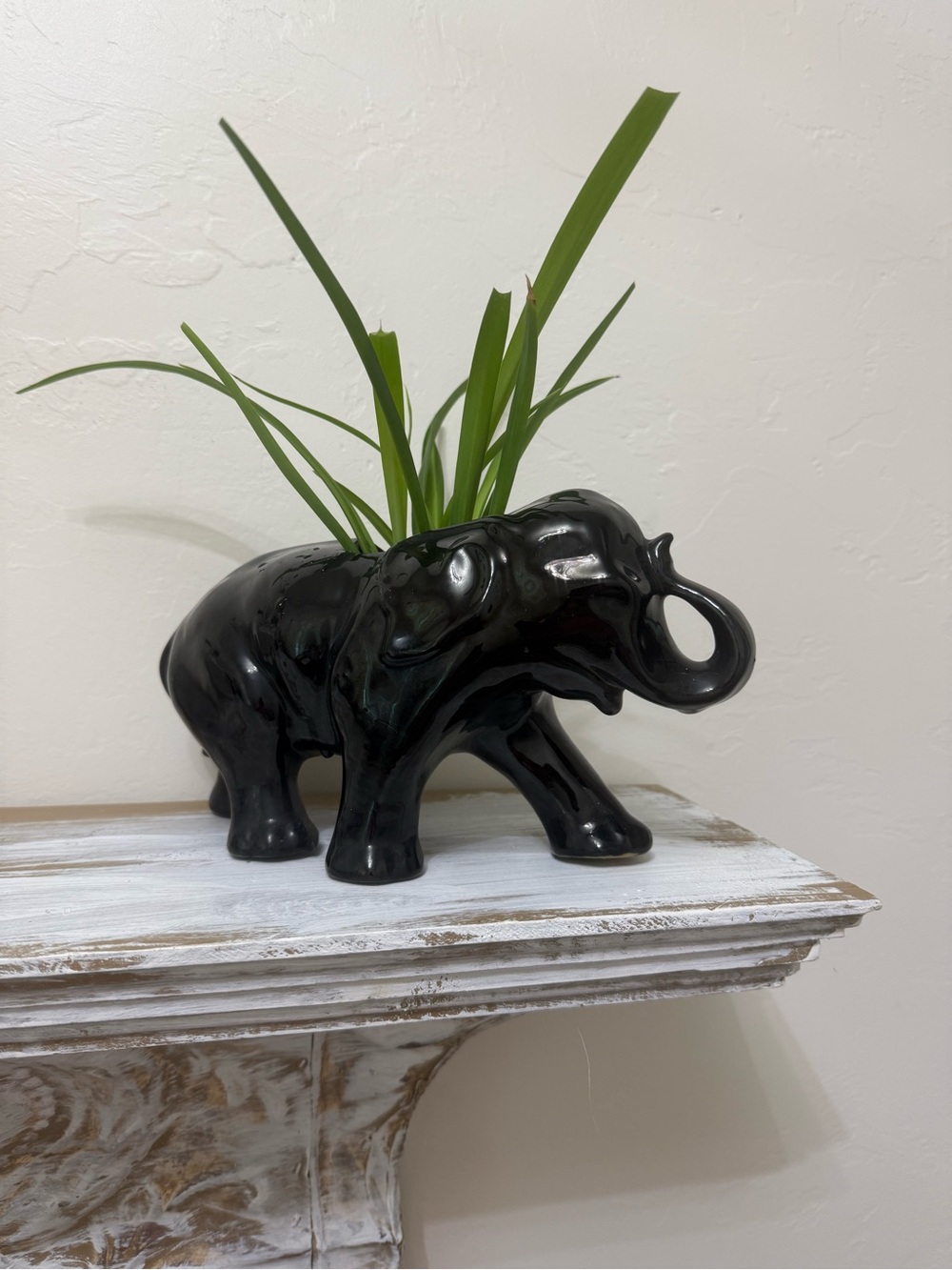 Black Ceramic Elephant Planter – Decorative Planter/Pot (no greenery)